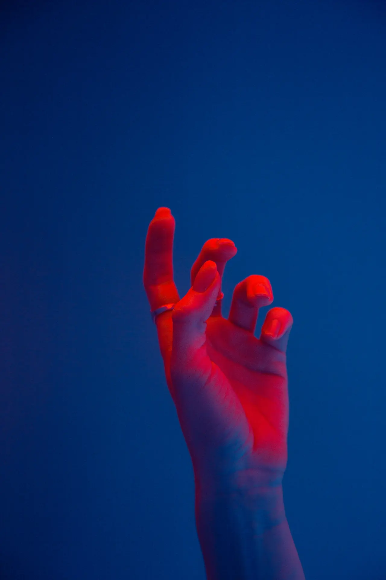 Elin L'Estrange 🌹 (@elinlestrange.bsky.social) — Bluesky, image size:1280x1920