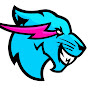 MrBeast 2 60 profile image